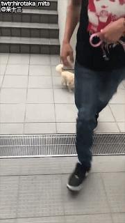 “你和异性发生过最尴尬的事!笑得我差点当场去世了…”哈哈哈哈哈哈哈哈哈