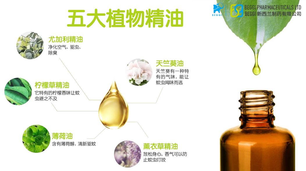 新西兰驱蚊香薰，无烟无火不插电，有它蚊子绕着飞