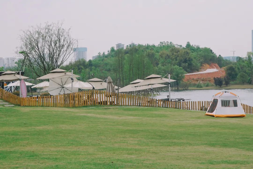 成都一日游打卡必备,成都网红打卡景点一日游