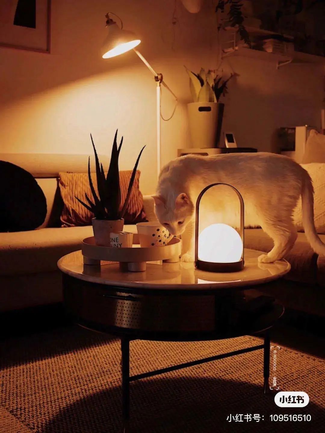 宜家好物推荐100元以下,宜家好物推荐第一集