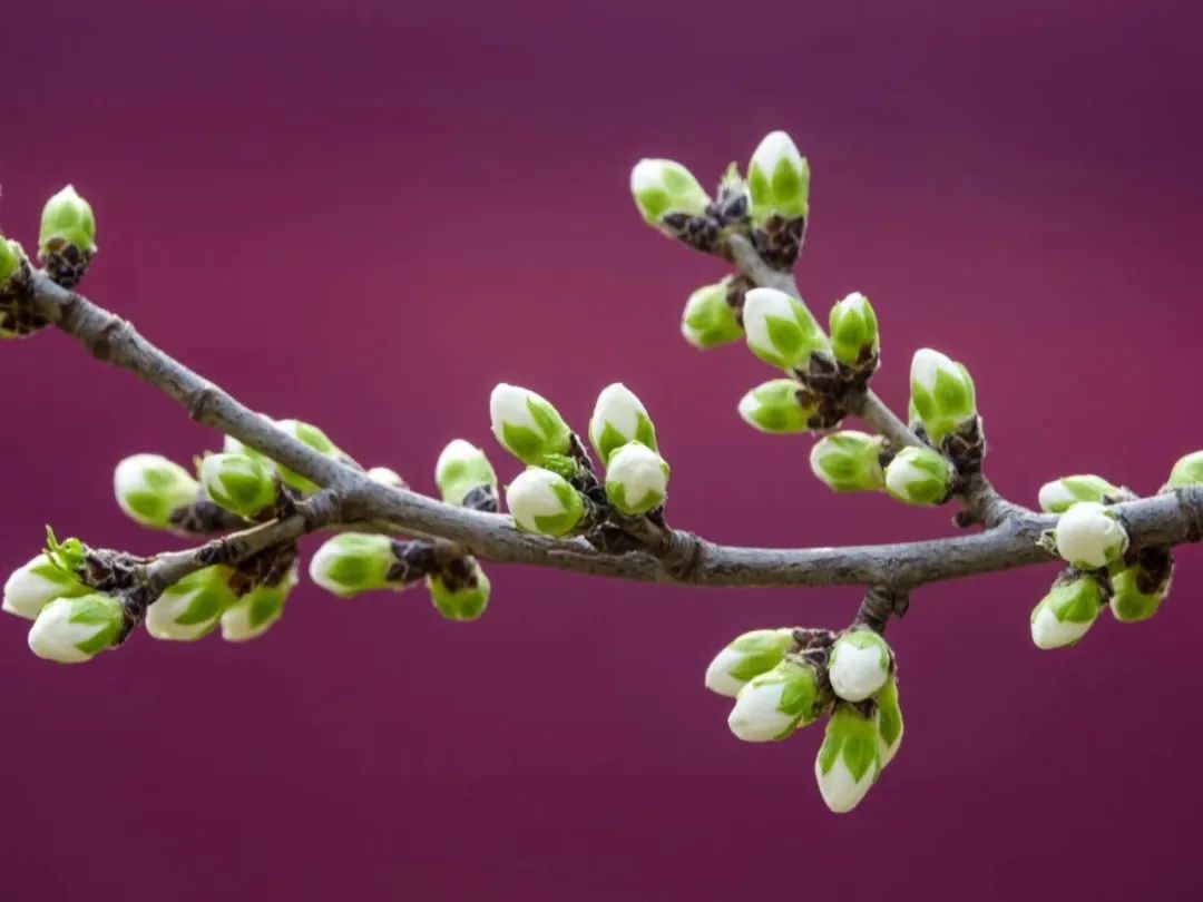 辽宁省被国务院表扬的地方,辽宁一日游必去景点排名一览表