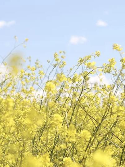 马上查收您的五一出游攻略,内部福利礼包