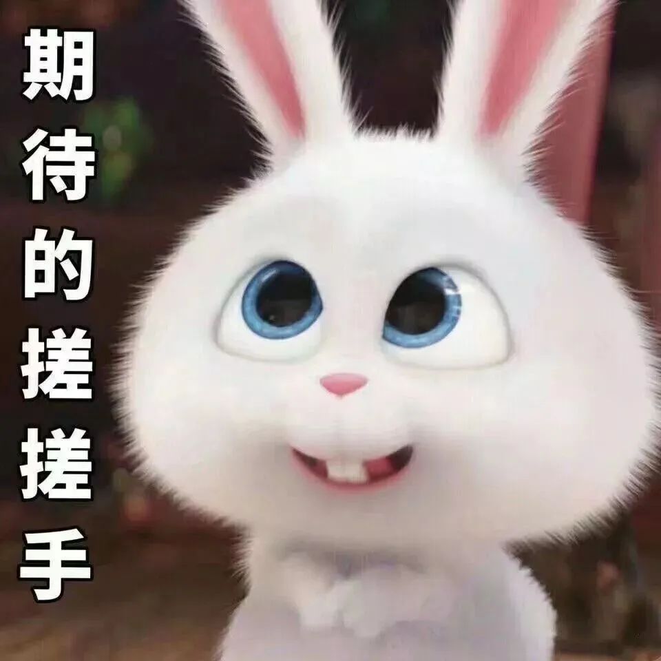 淄博最新消费券发放时间,淄博消费券领取方法