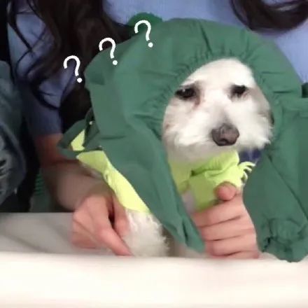 美人计|杨幂吃播了一个小时，口红都没掉色