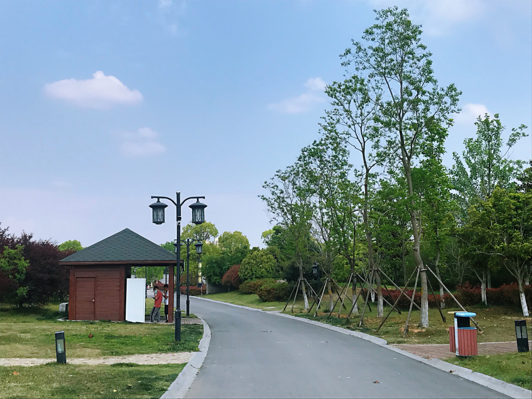 我的五一生活日记50字,我的五一生活日记