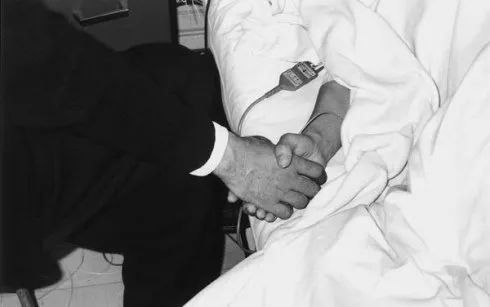 日本在世当代艺术家,日本当代艺术家太阳花