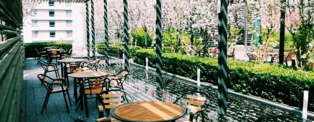 不热不堵人不多,城中开房度假难道不够爽吗?丨寻味