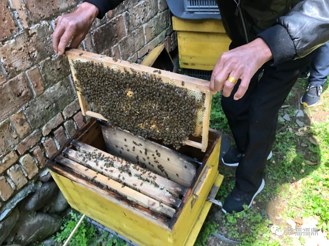 缓坡叠石,叠石景观石