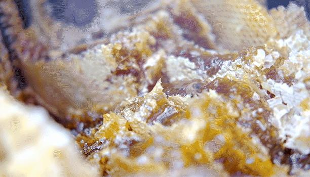 酿造百花蜜,酿造农家百花蜂蜜