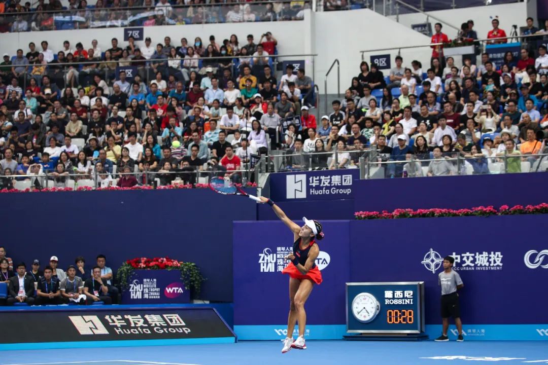 网球相关资讯在哪里看,网球场地知识及规则