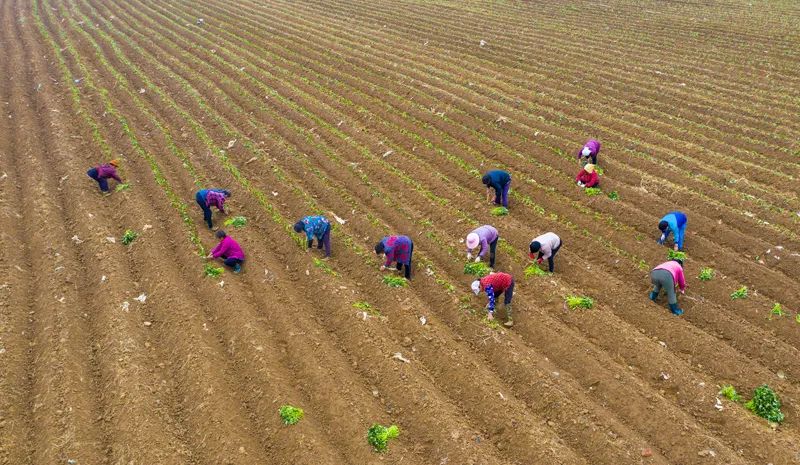 泗洪中考那些事,今日泗洪县大小事