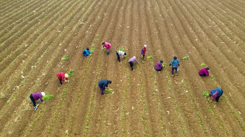 泗洪中考那些事,今日泗洪县大小事