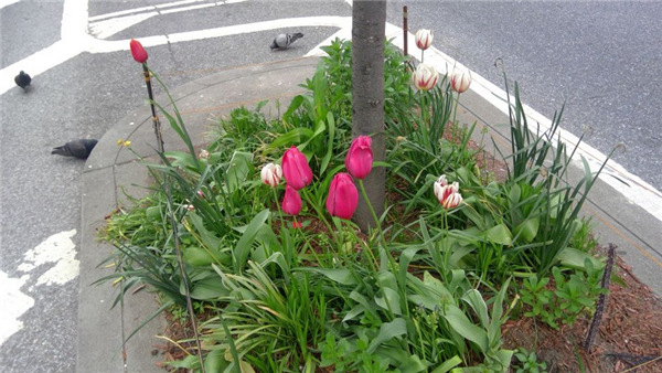 surfacego2开箱,surfacego3开箱