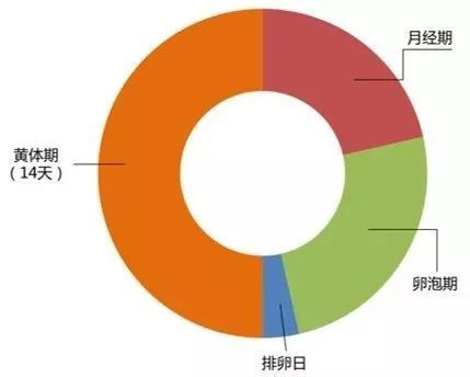测基础体温月经期温度会变低吗,月经期间如何正确测量基础体温