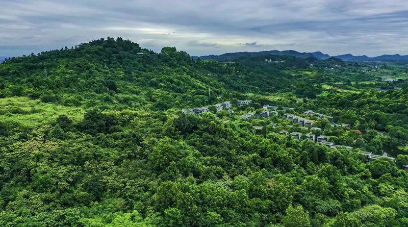 新津这边晚上有没有好耍的地方,新津有哪些人少且免费的旅游景区