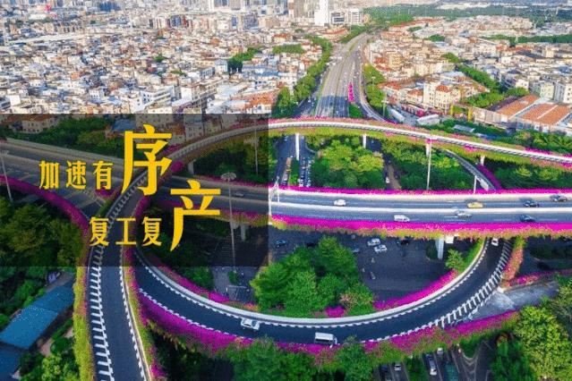 社会组织今日要闻,社会组织最新信息