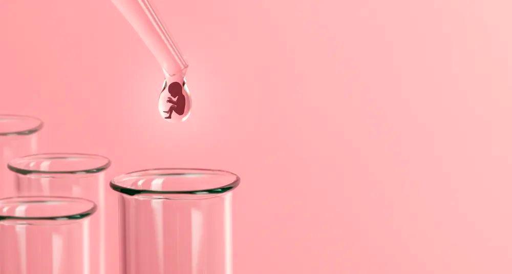 当取卵针戳进我的卵巢时，丈夫在看片取精|成为母亲