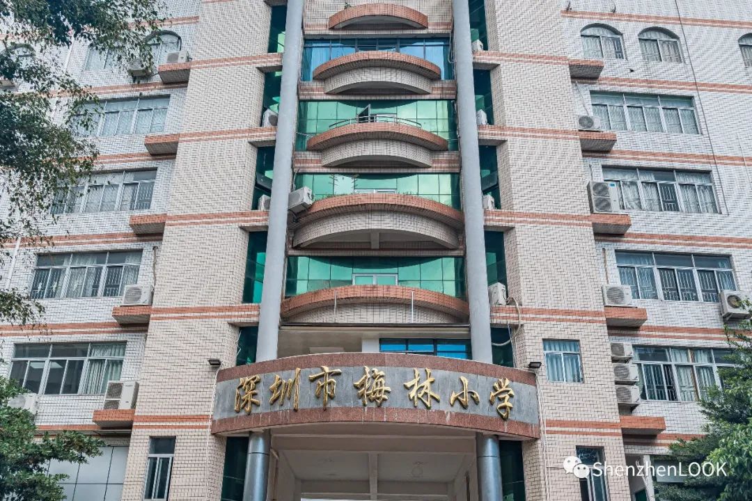 look这是什么牌子的包包,严浩翔说look这是tnt什么舞台