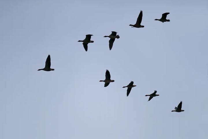 亮剑开局重建兵工厂,亮剑实践基地浙江省长兴县