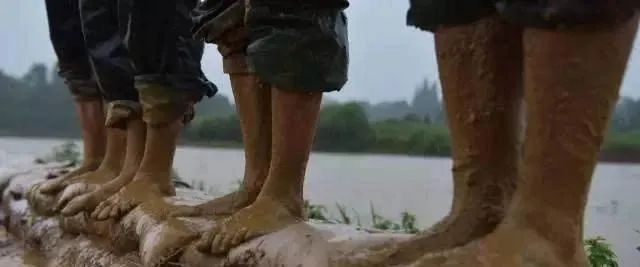 你妈叫你回家插秧了原版,你妈喊你回家插秧的图片