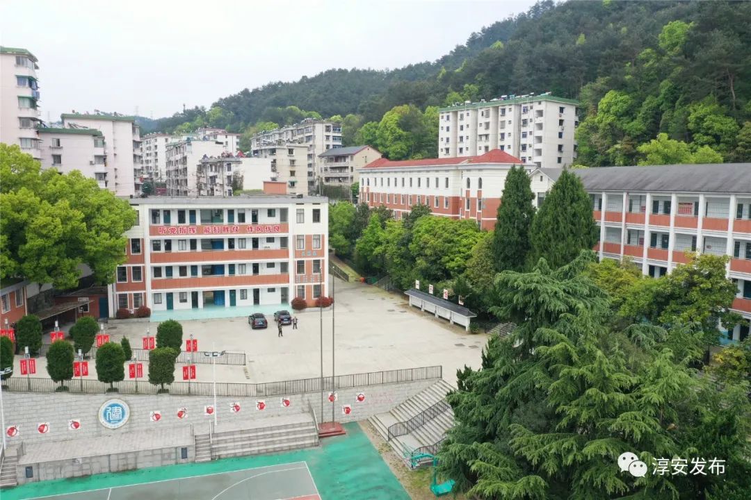 关注学区划分的政策,关注学区划分政策