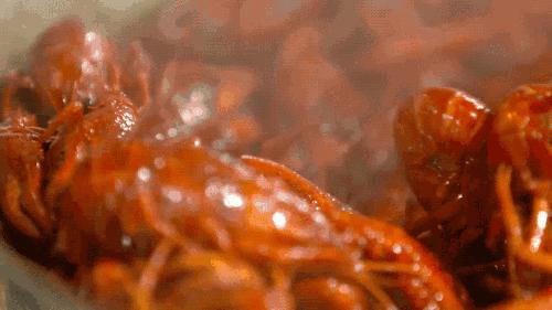 【关注】今天起，鹿泉又多了5个霸气新名字！