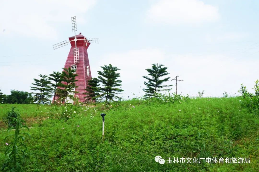 分享|“云游”林间小屋、石砌村道、稻田果树！乡村康养的好去处