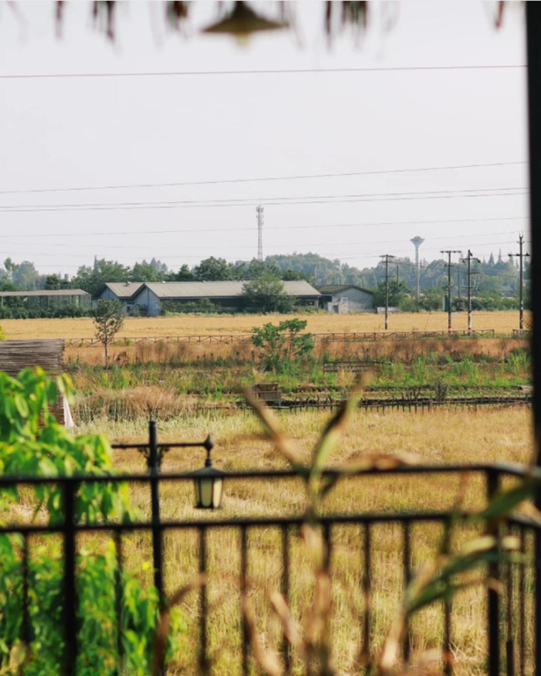 成都五个打卡地,成都5月打卡