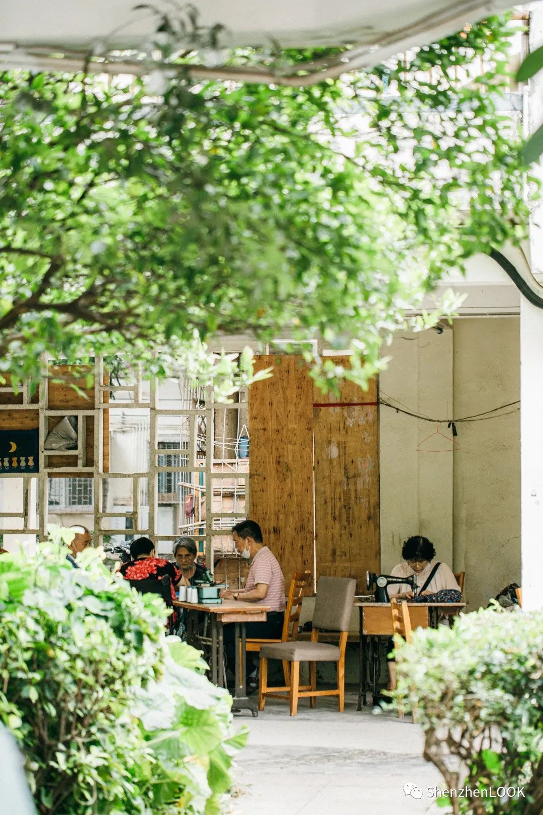 LOOK|这，就是园岭