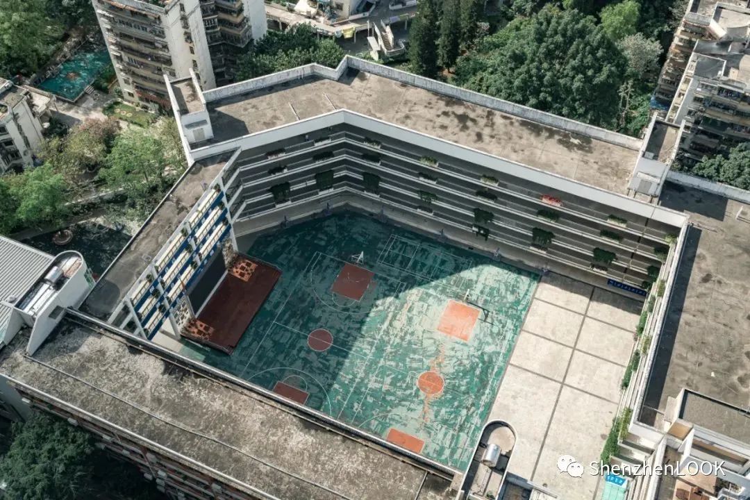 LOOK|这，就是园岭