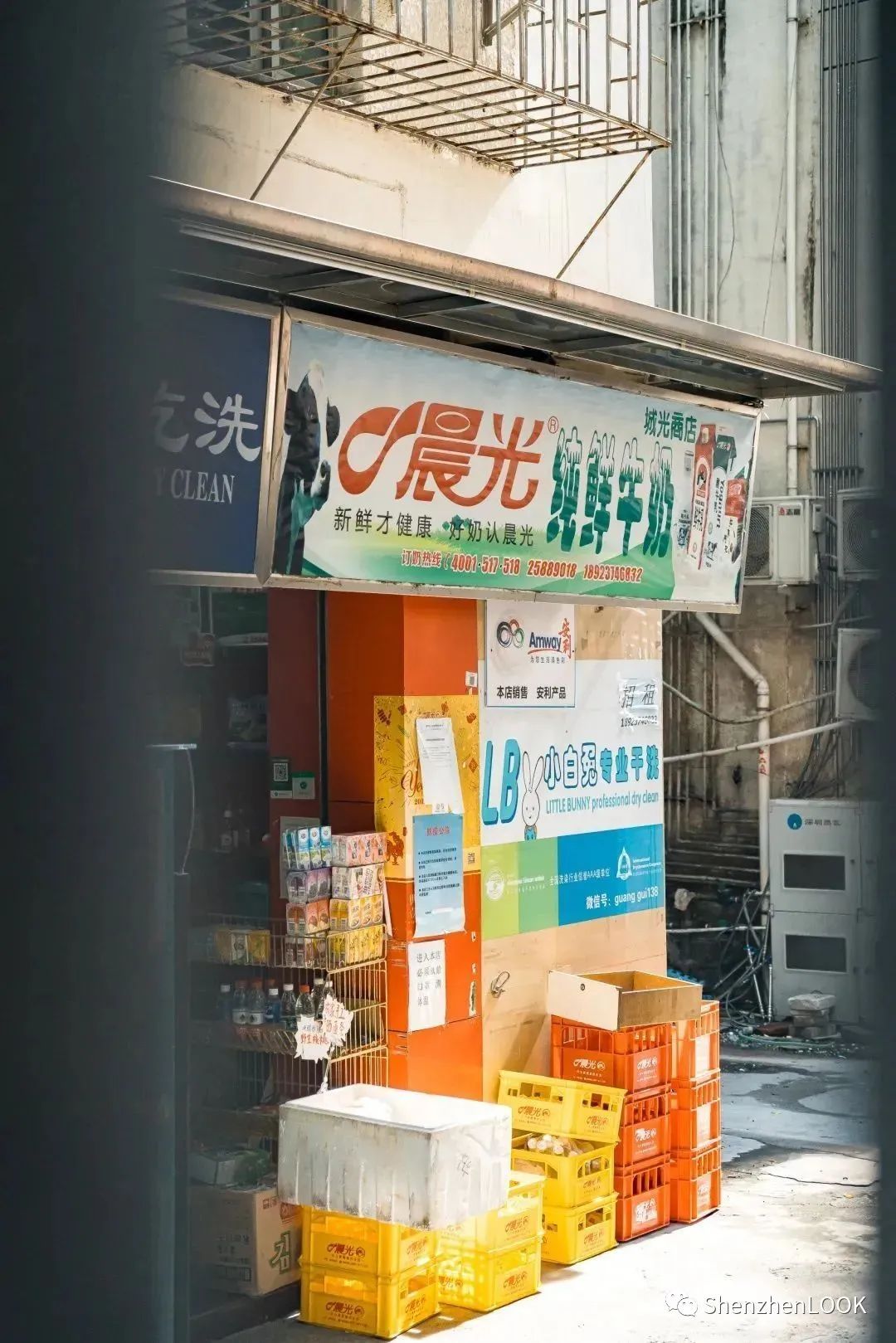 LOOK|这，就是园岭