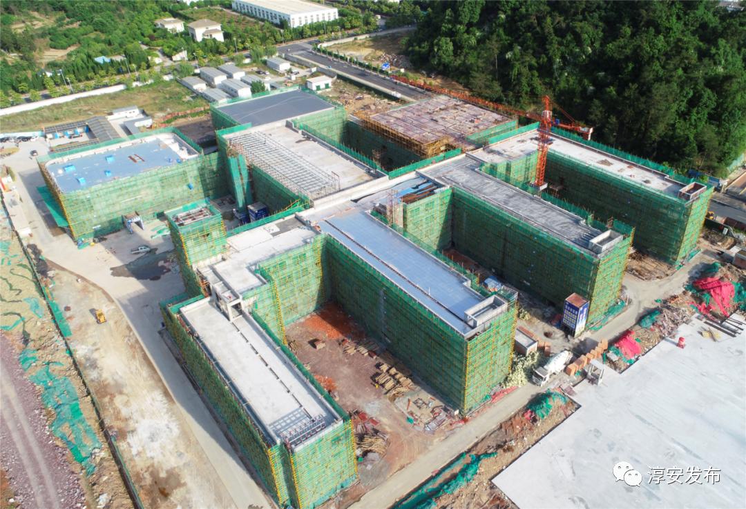 千岛湖学校,淳安千岛湖学校