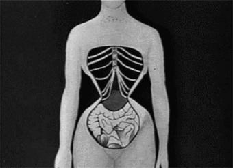 减肥毁掉我整个青春,为什么中国女人不要刻意减肥