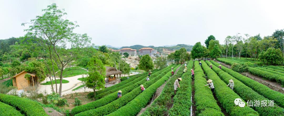 三福集团的新模式,三福集团发展