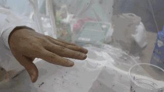 家用防蚊虫草味驱蚊神器,日本的驱蚊神器管用吗