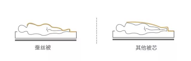 桑蚕丝夏凉被薄款,桑蚕丝被是否冬暖夏凉