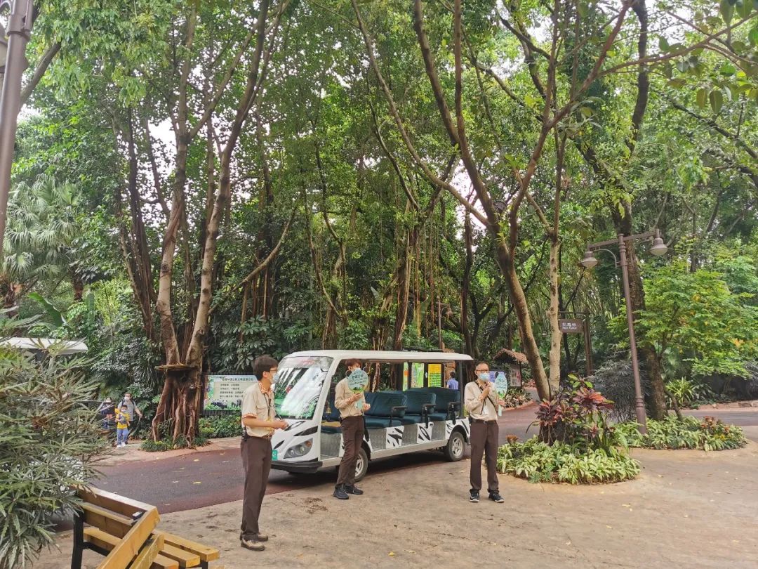 广州长隆野生动物世界何时建成,广州长隆野生动物园有白狮