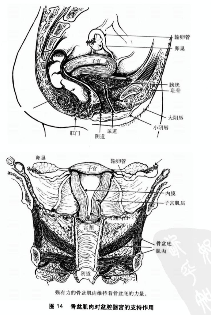 积极选择手术或有创性治疗方法|《更年期的智慧》第八章第6节