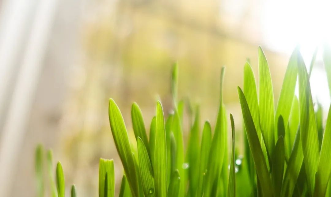 积极选择手术或有创性治疗方法|《更年期的智慧》第八章第6节