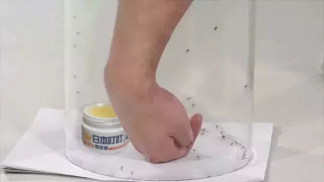 日本环保驱蚊剂,健康驱蚊神器