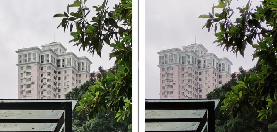 荣耀X10影像评测：4000万和6400万像素，谁更适合你？