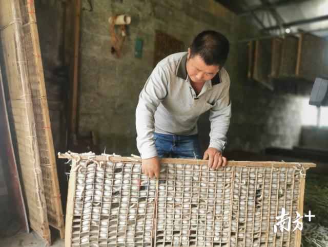 结对帮扶三年多,罗湖给这两个贫困县带去了什么?