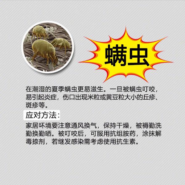 夏天防虫知识100条,夏季防虫叮咬小知识