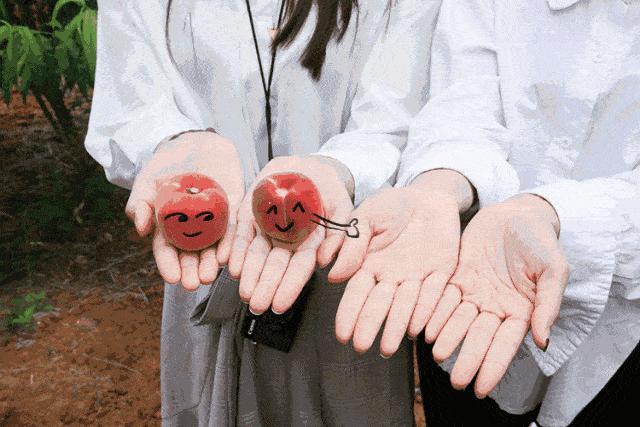 酵母小苏打和泡打粉又有什么区别,小苏打和食用碱泡打粉酵母