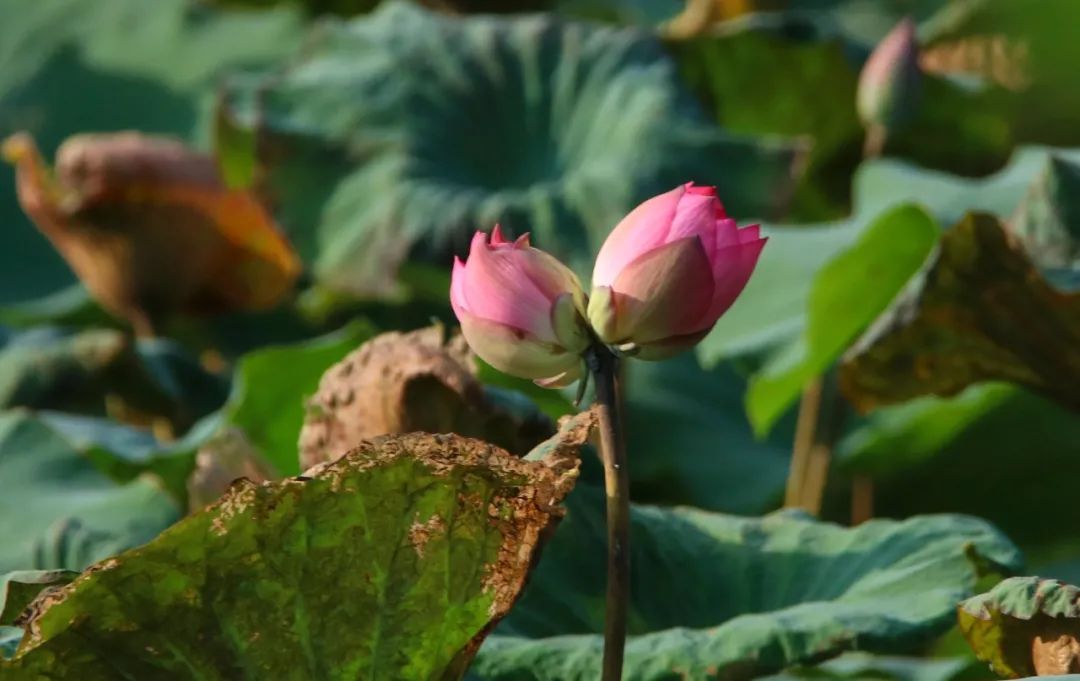 此生必打卡的宝藏旅行地,秋季小众宝藏旅行地