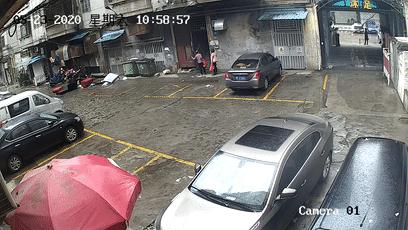 海底龟煲汤功效,海底龟煲汤