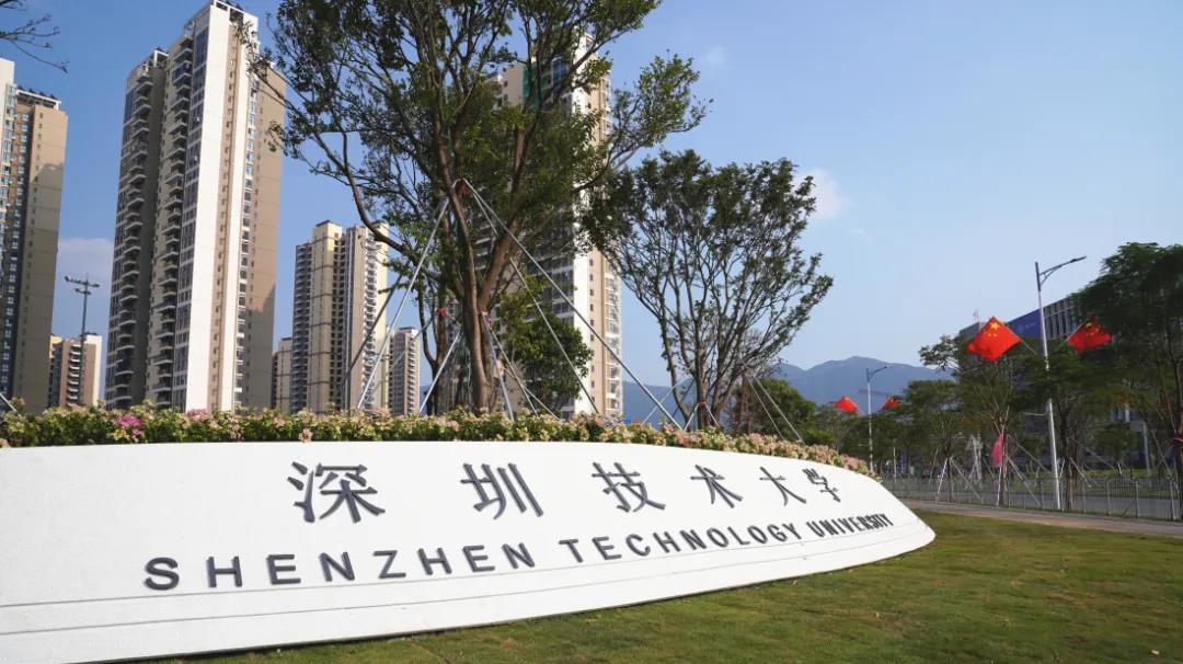 深圳学校及幼儿园厨师招聘信息,深圳市公办幼儿园招聘副园长