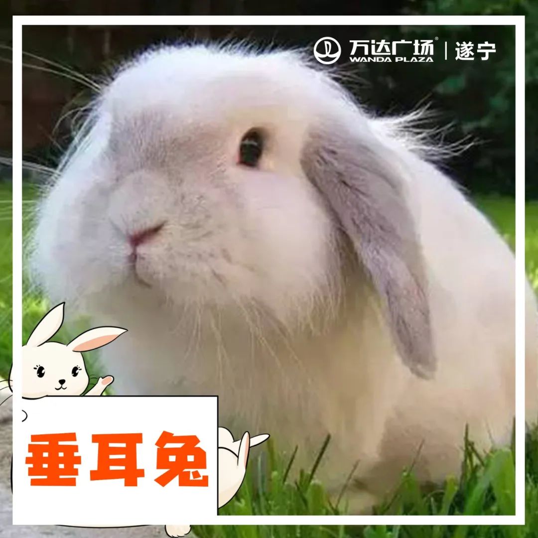 小宝贝解封后秒变“神兽”，这里有魔力啊