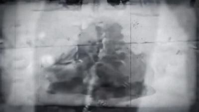 最骚士兵熊：抽烟喝酒花钱，样样在行，还是个战斗英“熊”