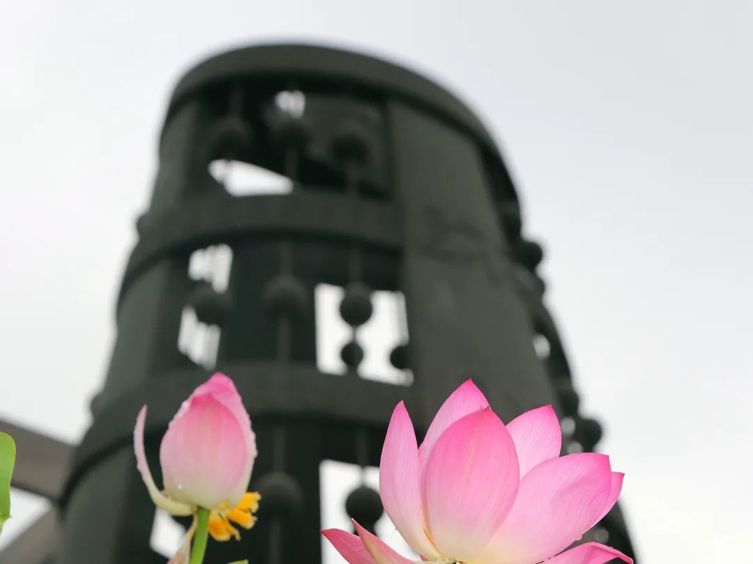 2020北师大强基计划报名材料,强基计划报考大学